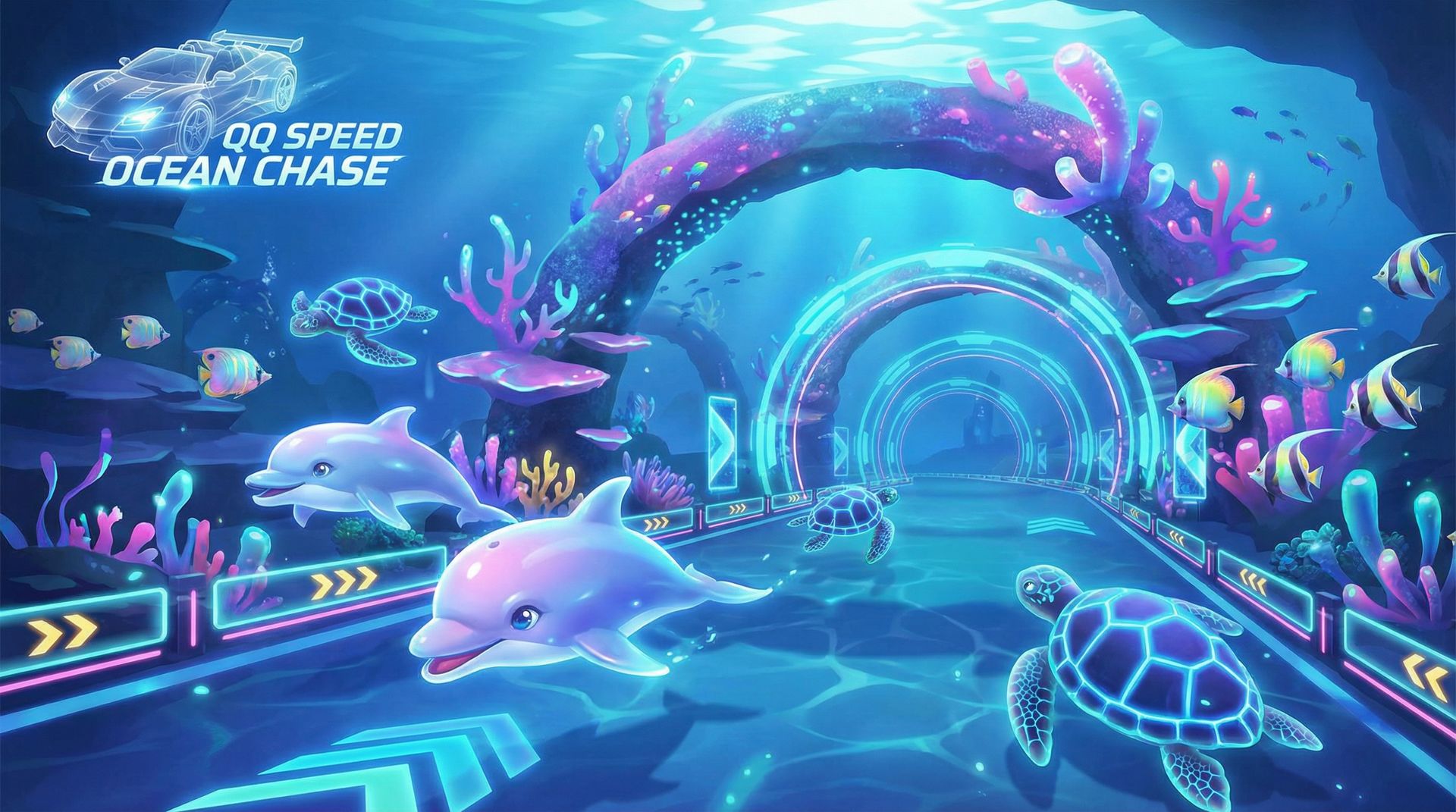 玩物社区海洋动物视频